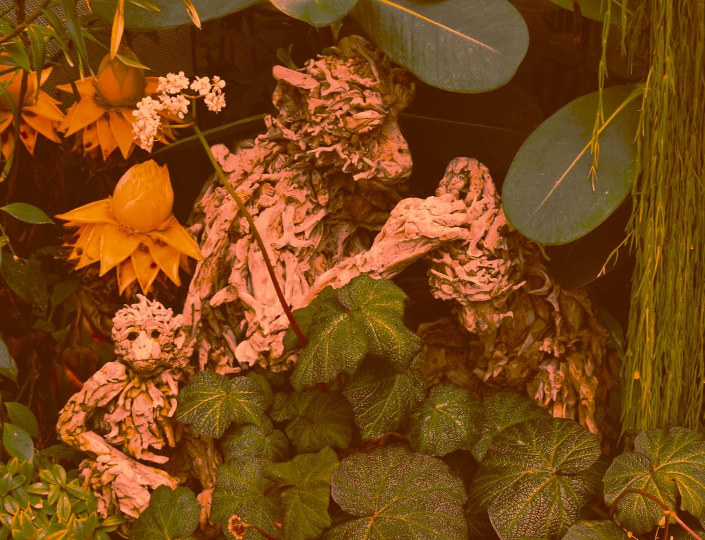 rootish people rootish people